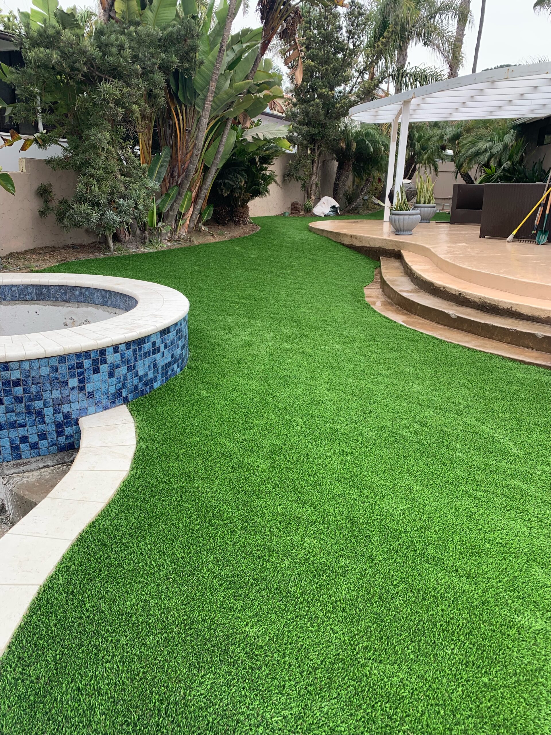 Backyard synthetic lawn bordering curved swimming pool coping with pergola